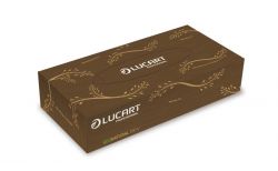 LUCART "EcoNatural" 2 rétegű barna kozmetikai kendő (100 db)