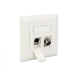 Delock Keystone Wall Outlet 2 Port