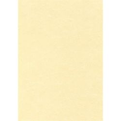 APLI A4 95 g pergamen hatású pezsgő színű előnyomott papír (100 lap)