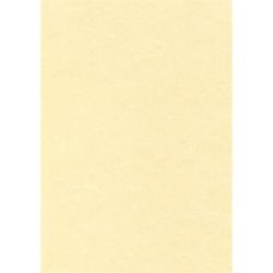 APLI A4 95 g pergamen hatású pezsgő színű előnyomott papír (100 lap)