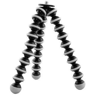 316253_1_1133056432.jpg