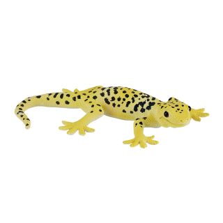 Mojo Fun Gecko Leopard