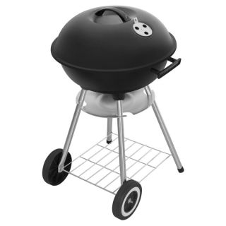 Fieldmann FZG 1009 Rostély Egg Faszén (fűtőanyag) Fekete, Rozsdamentes acél
