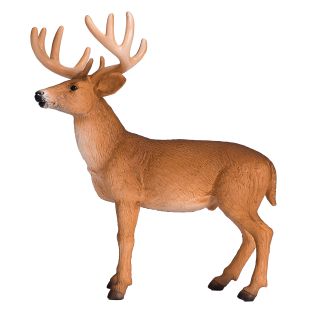 Mojo Fun White Tailed Deer Buck